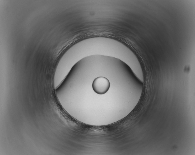 X0000114400405200911131410