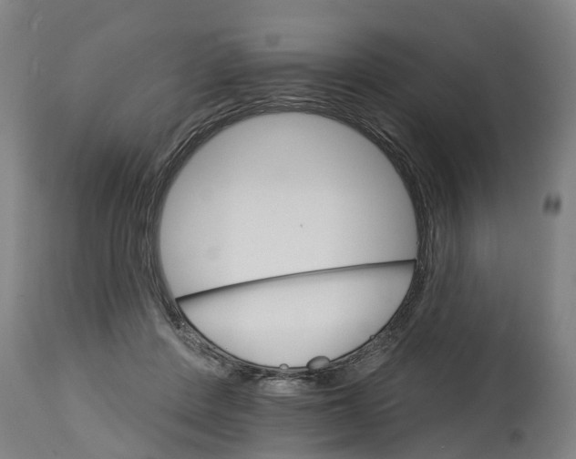 X0000114400408200911131410