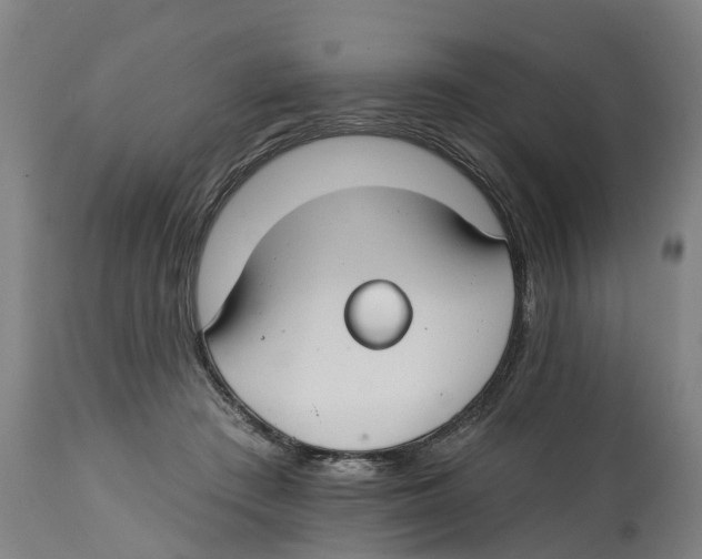 X0000114400409200911131410