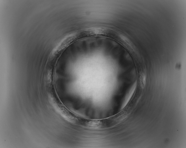 X0000114400410200911131410