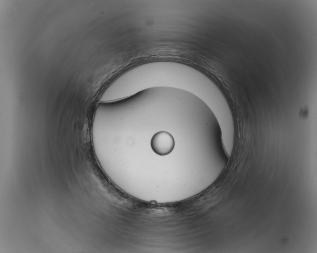 X0000114400411200911131410