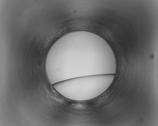 X0000114400412200911131410