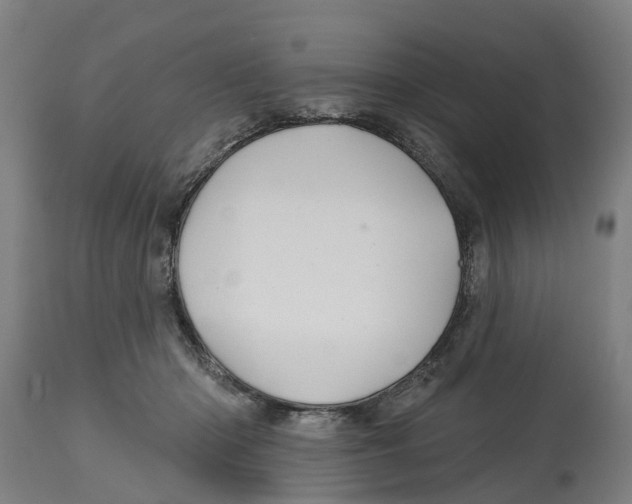 X0000114400414200911131410