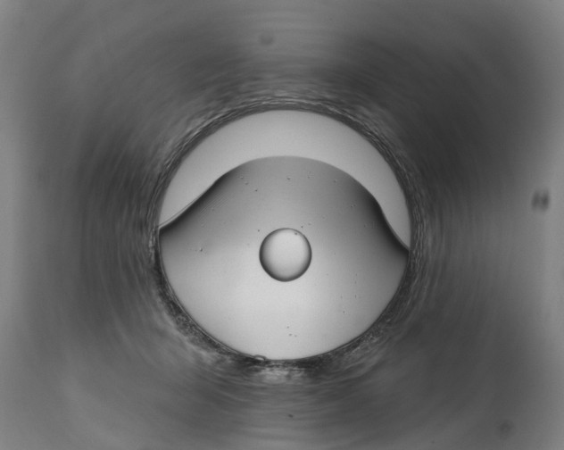 X0000114400415200911131410