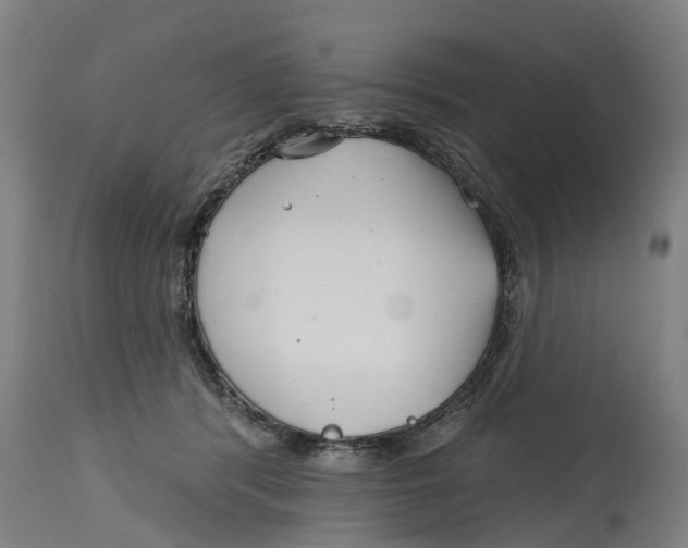 X0000114400416200911131410