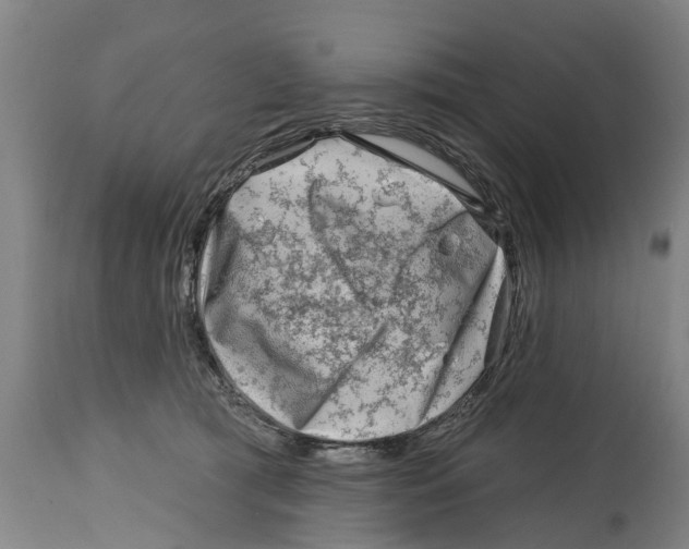 X0000114400417200911131410