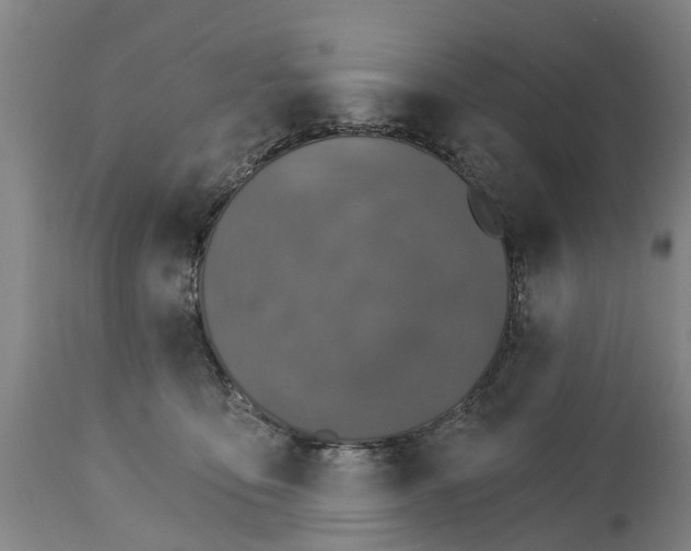 X0000114400419200911131410