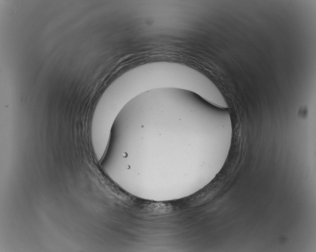 X0000114400421200911131410