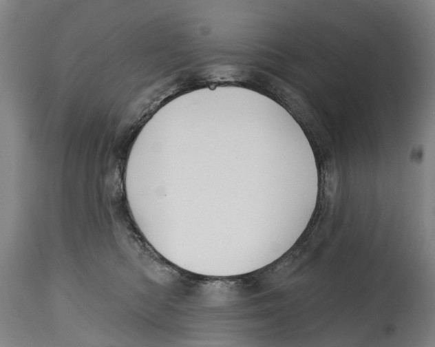 X0000114400422200911131410