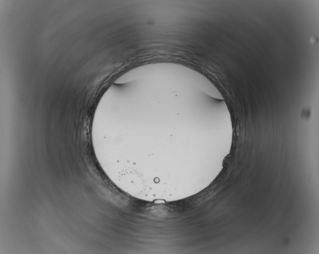 X0000114400423200911131410