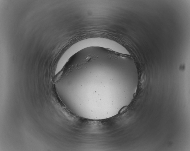 X0000114400424200911131410