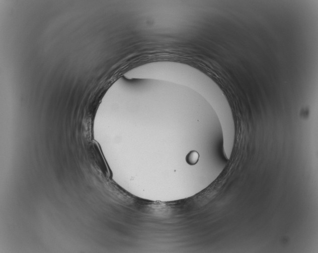 X0000114400425200911131410