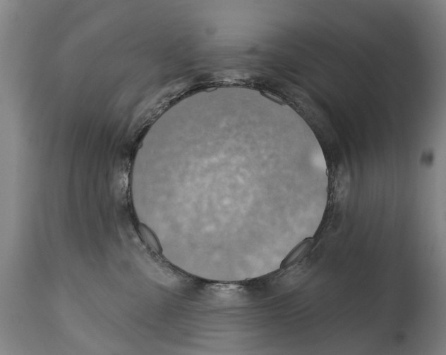 X0000114400427200911131410