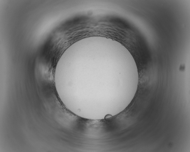 X0000114400431200911131410