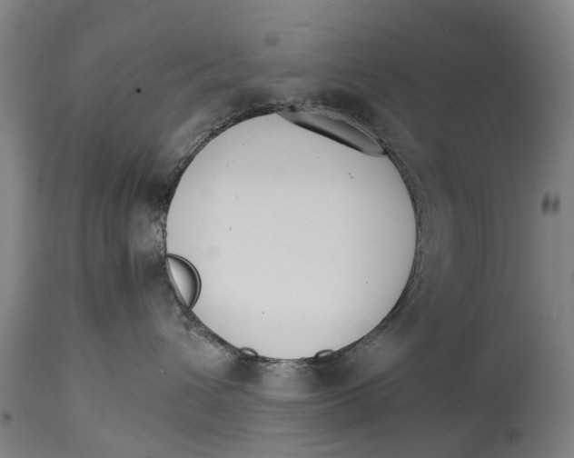 X0000114400432200911131410