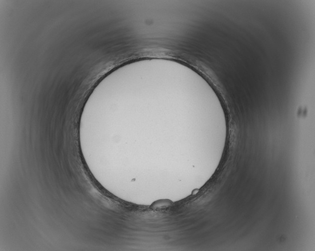 X0000114400433200911131409