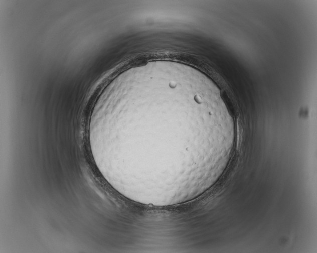 X0000114400435200911131409