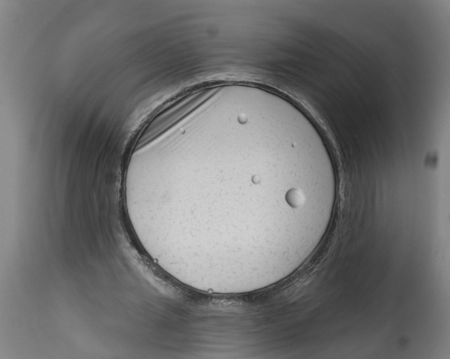 X0000114400437200911131409