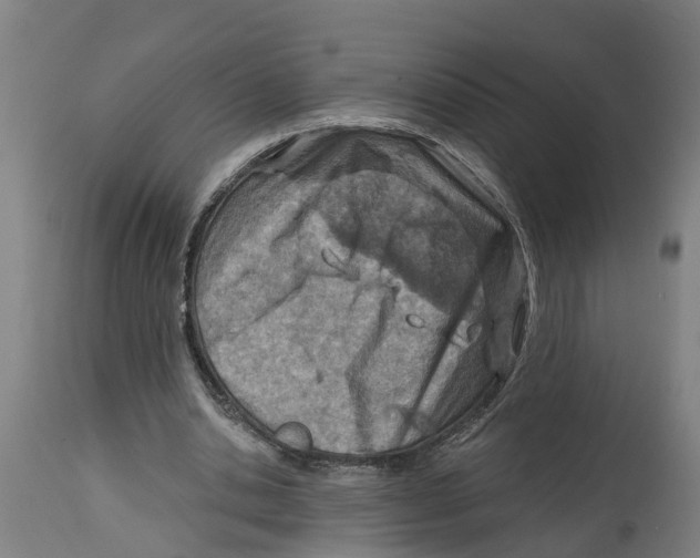 X0000114400438200911131410