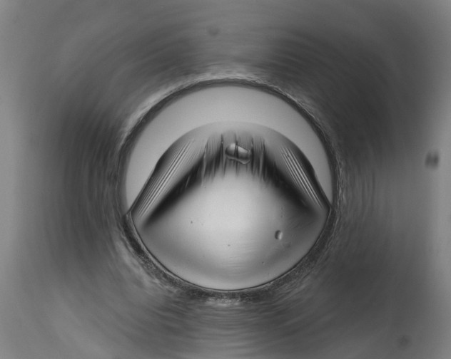 X0000114400440200911131410