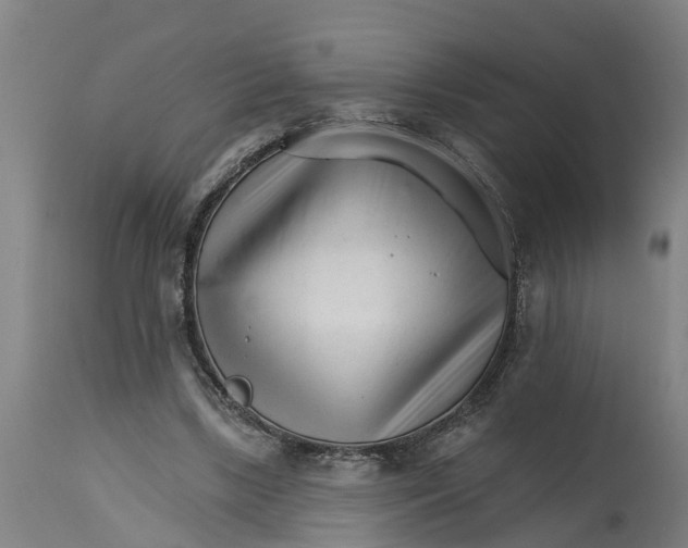 X0000114400443200911131410