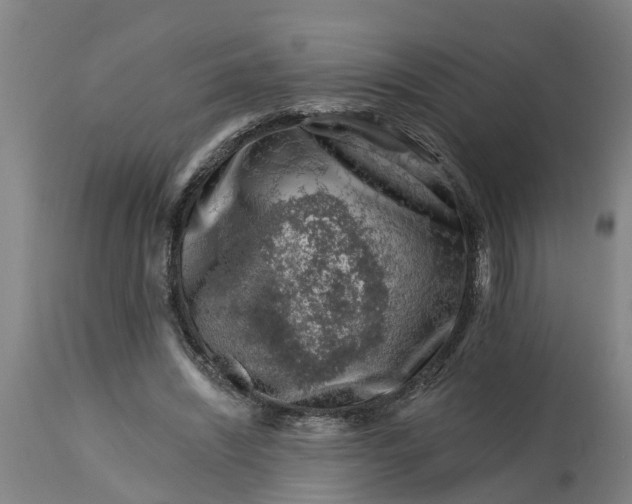 X0000114400444200911131410