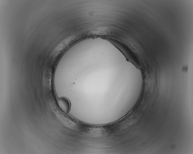 X0000114400446200911131410