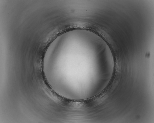 X0000114400449200911131410