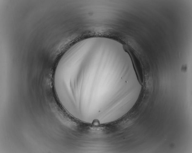 X0000114400450200911131410