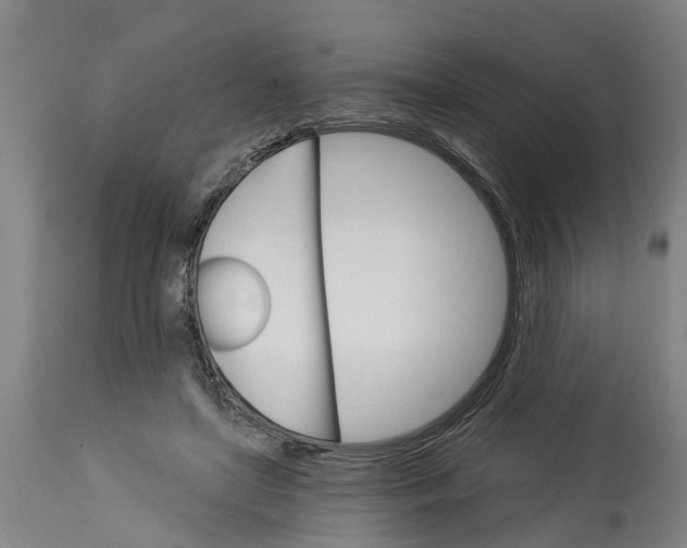 X0000114400451200911131410