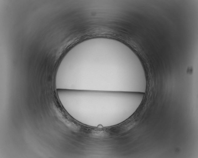 X0000114400454200911131410