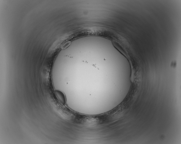 X0000114400456200911131410