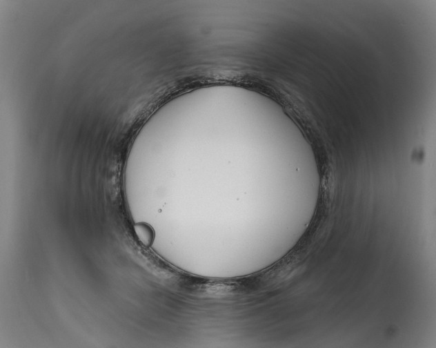 X0000114400462200911131410