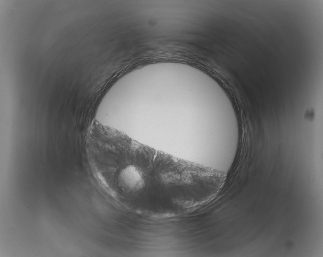 X0000114400465200911131410