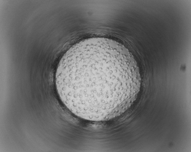 X0000114400466200911131410