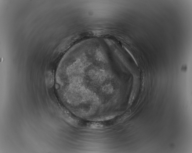 X0000114400471200911131410