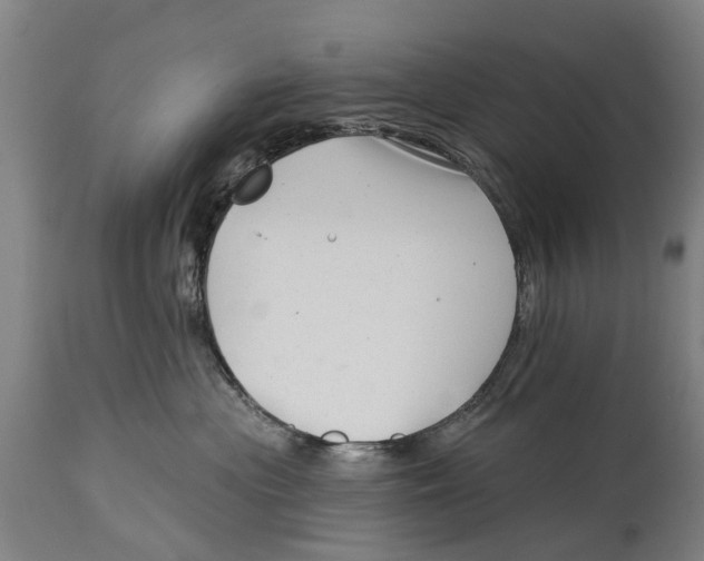 X0000114400477200911131410