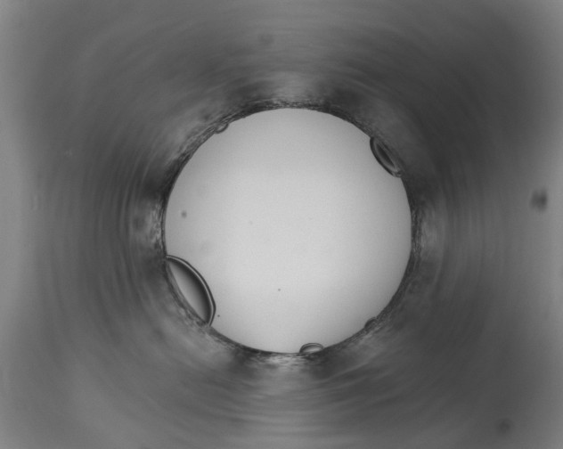 X0000114400478200911131410