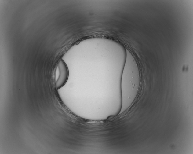 X0000114400480200911131410