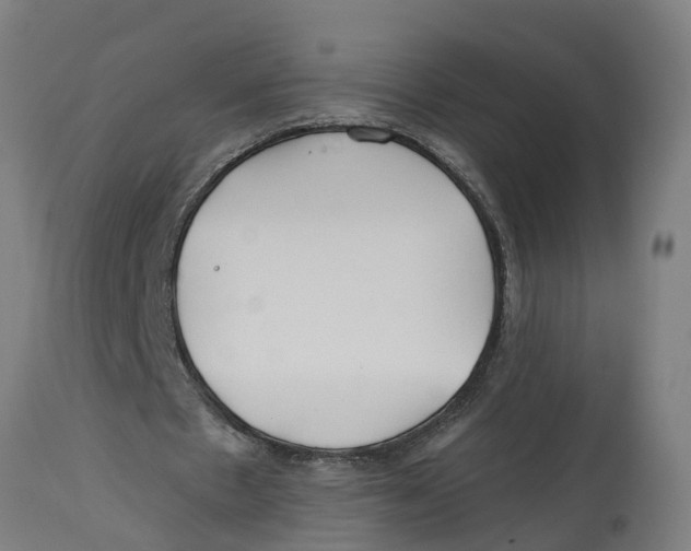 X0000114400481200911131409