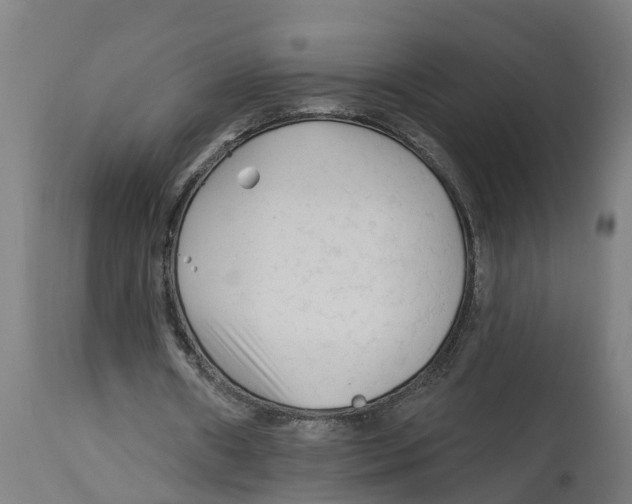 X0000114400482200911131409