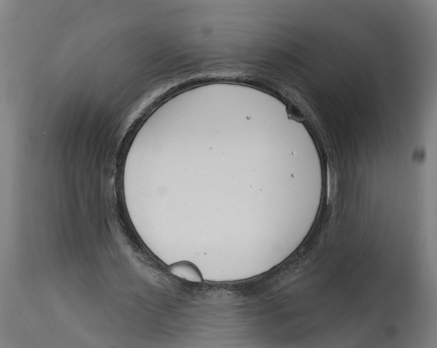 X0000114400483200911131409