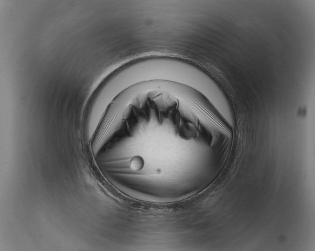 X0000114400484200911131409