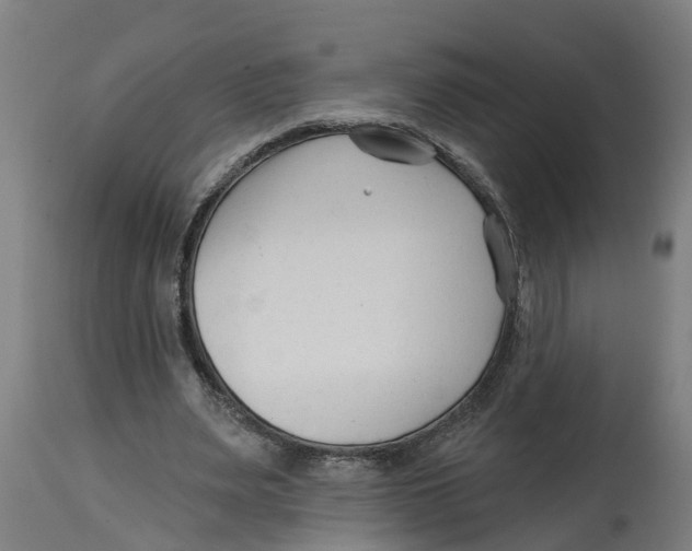 X0000114400487200911131409