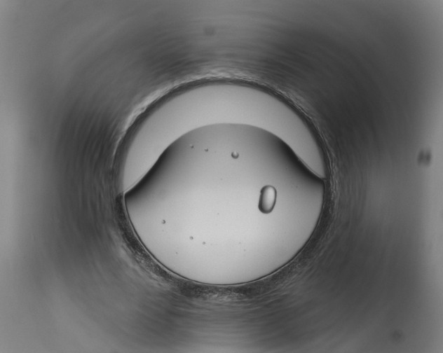 X0000114400488200911131409