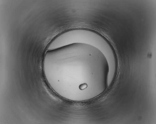 X0000114400489200911131409