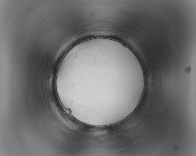 X0000114400491200911131409