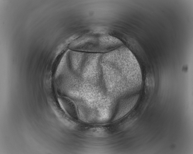 X0000114400492200911131409