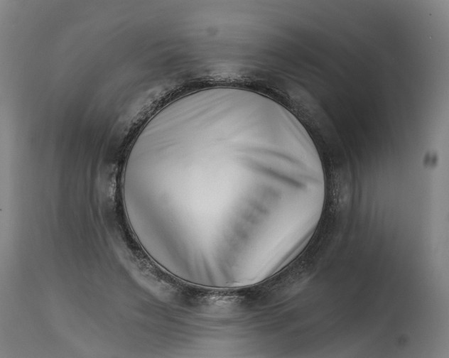 X0000114400495200911131409