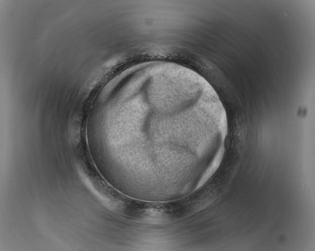 X0000114400496200911131409